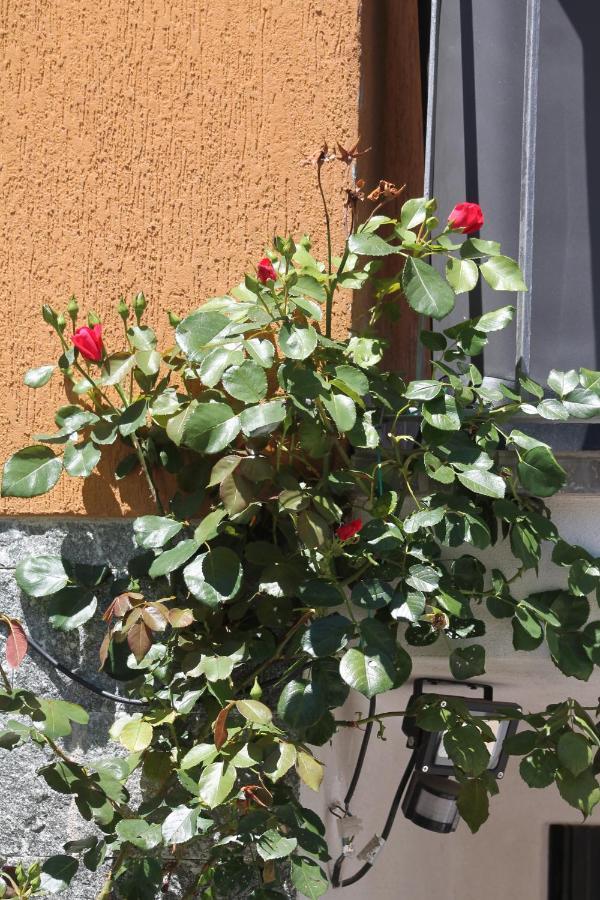 Beb Da Gaia E Giulio Acomodação com café da manhã Reno Di Leggiuno Exterior foto